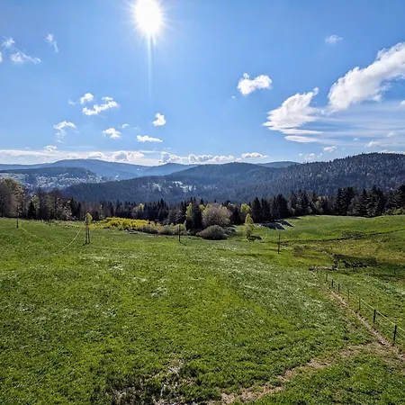 Vakantiehuis Ancienne Ferme Renovee A Gerardmer, 3 Chambres, Confort Moderne - Fr-1-589-700